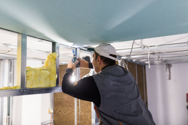 Best Insulation Installation Services in River Forest, IL