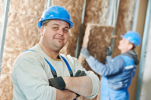 Best Insulation Installation Services in River Forest, IL