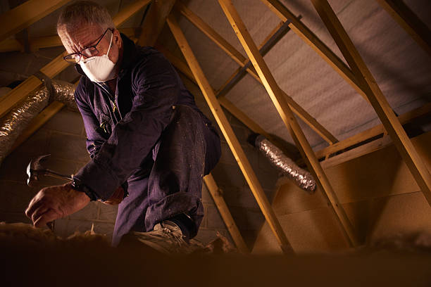 Best Commercial Insulation in River Forest, IL